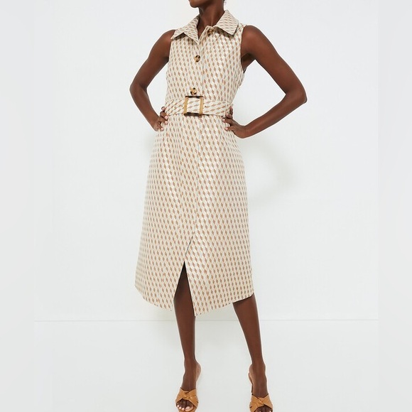 Tuckernuck Dresses & Skirts - Ocean Spray Sleeveless Cheyenne Dress